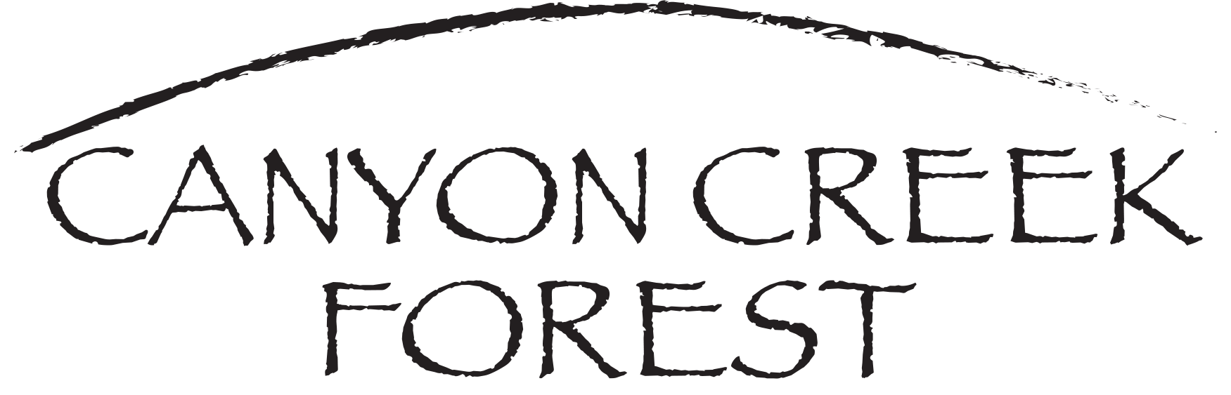 Website Designs in Lenexa, Ks